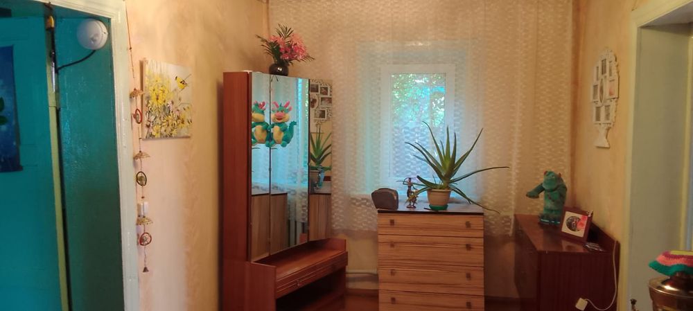 частный дом в затоне