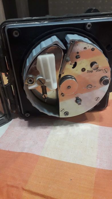 часовник за гълъби