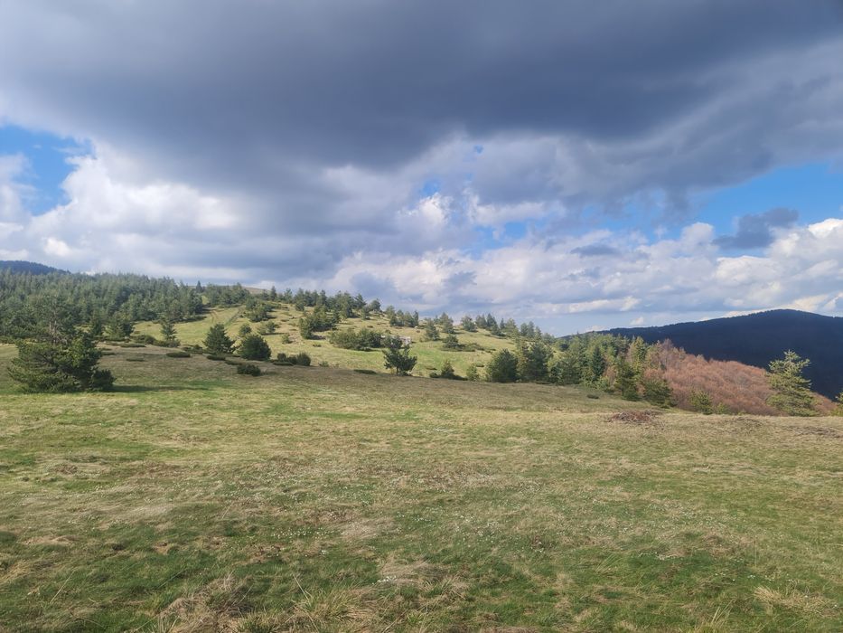 Продава се Земеделски имот в с. Давидково, Област Смолян -  кв.м за 15000 €/дка - Снимка #3