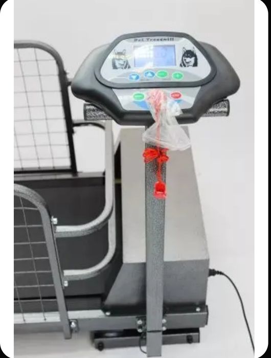 продам беговую для собак