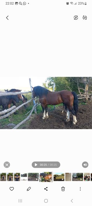 Продам или поменяю