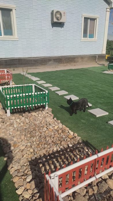 Щебень Отсев 10000