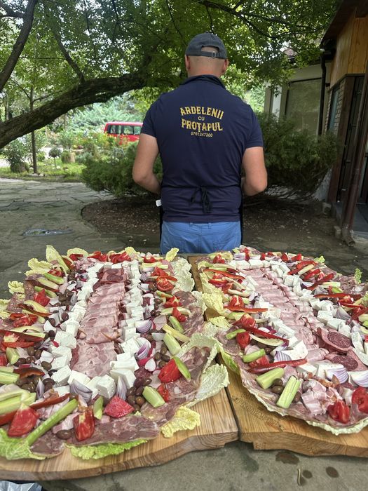 Porc facut la protap !