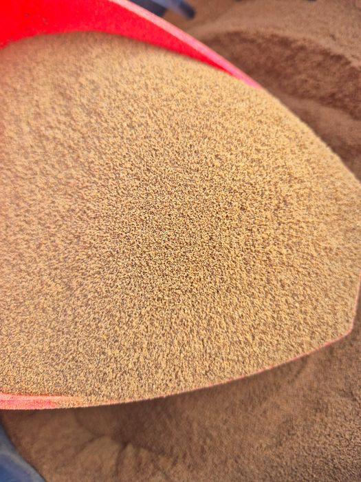 Furaje puiet pastrav