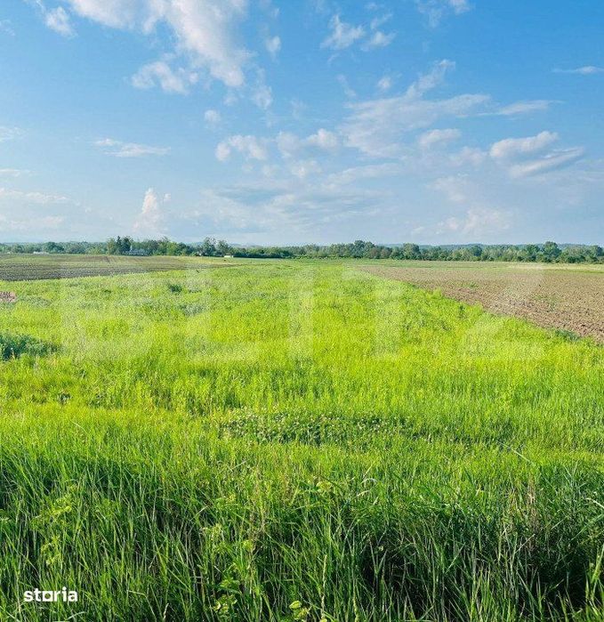 Teren 5500mp extravilan,Sat Dimoiu