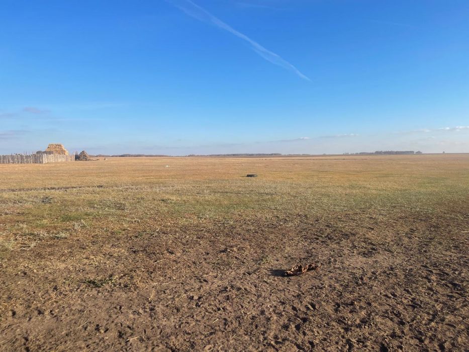 Продам земельный с.Осиновка