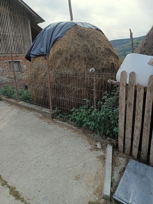 Vând 2 copite de fân