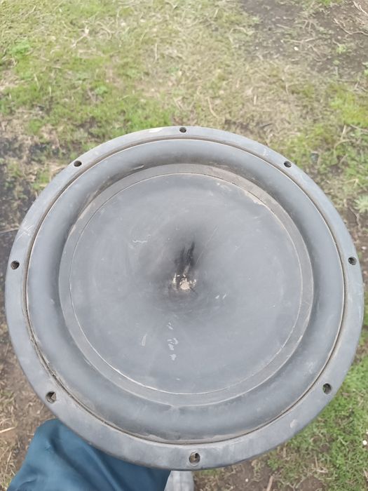 Динамик для саббуфера