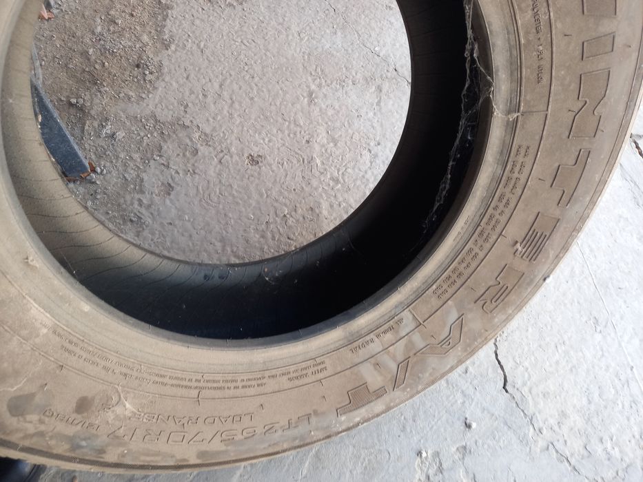 Қыстық болондар,