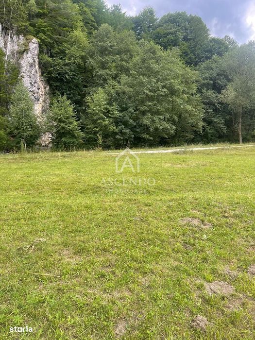 Teren Investiție Turistică Dâmbovicioara Baranga | 4.500 mp