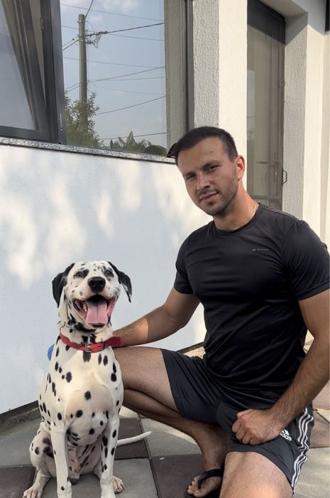 Dresaj canin in Vaslui ~ Câinii lui Ștefan