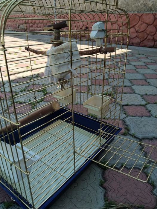 Клетка для попугаев