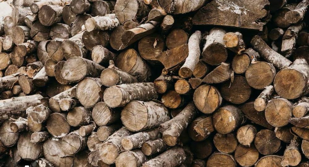 Продам дрова в Актобе карагач