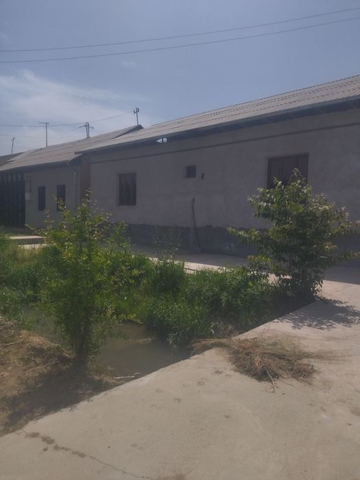 Kottakon hovli sotladi