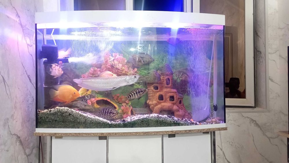 Akvarium sotiladi