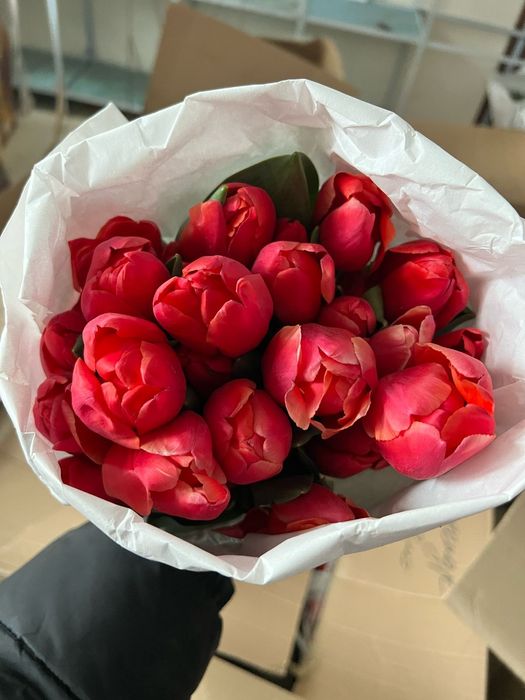 Тюльпаны - самые лучшие!