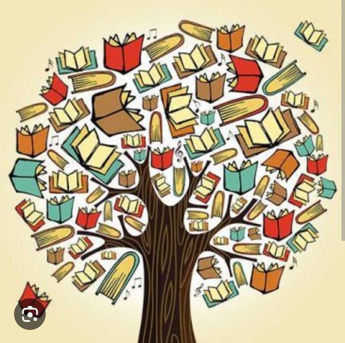 Meditații limba română