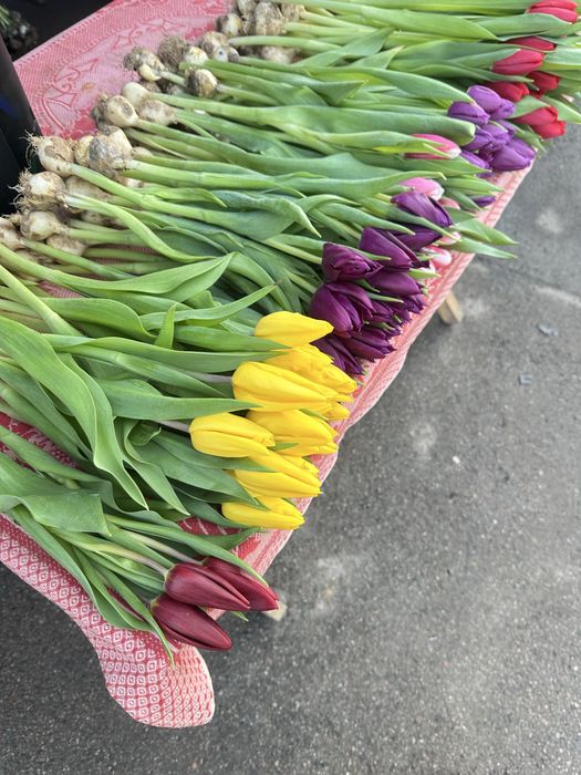 Соберем и Отправим Букет Тюльпаны