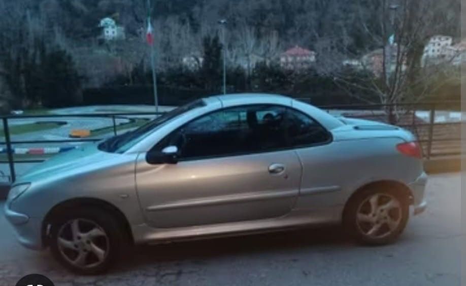 Piese Auto din Dezmembrari Peugeot 206 CC si hatchback an 2004