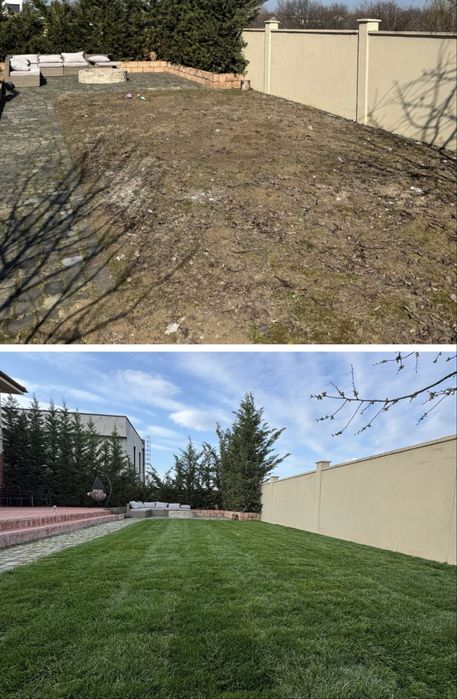 Amenjari Spatii Verzi Arad