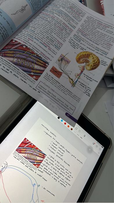 Admitere medicina notite