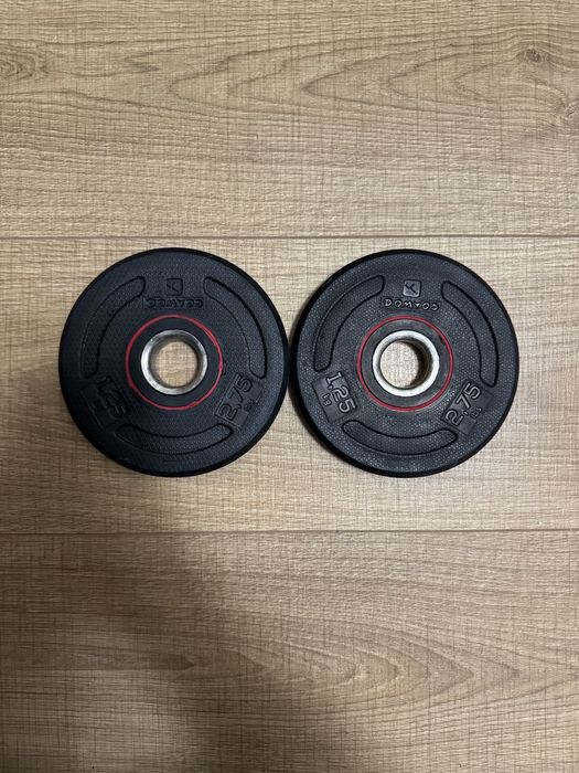 Чугунени дискове с каучуково покритие ф30 мм 1.25 кг