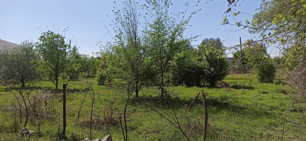 Земля 15 соток село Карнак