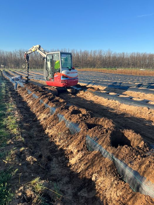 Miniexcavator  fundatii , piscine , curatiri terenuri