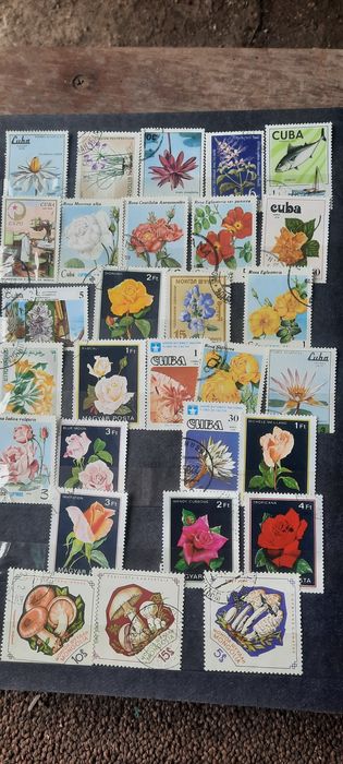 Марки обмен интересует