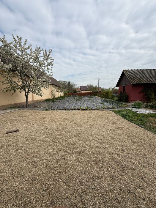 Vând teren intravilan