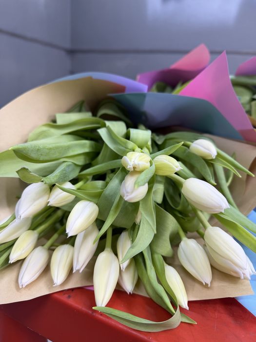 Тюльпаны от 750