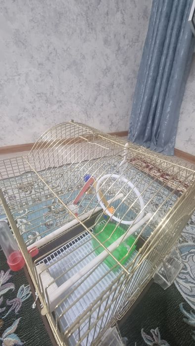 Клетка для попугаев