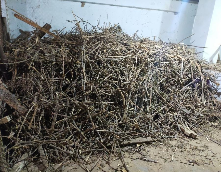 Құрғақ отын сатылады. Жетісайда тұр