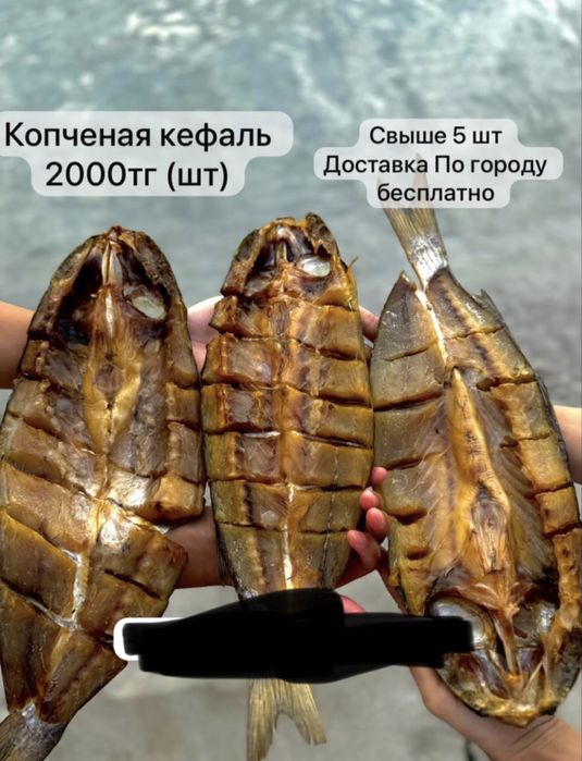 копченый кефаль свежий