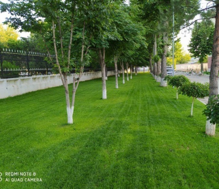 Gazon Eshik va urug' sepish