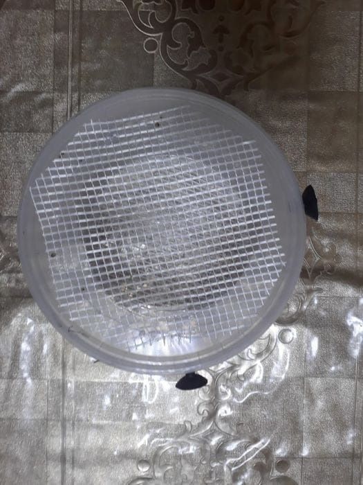 Отсадник самодельный для мальков