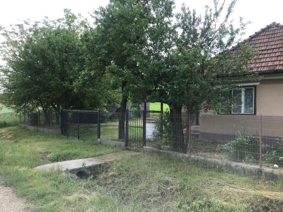 Vand casa in Borsa Cluj