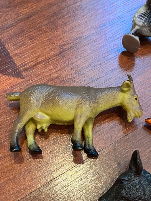 Коллекция домашних животных