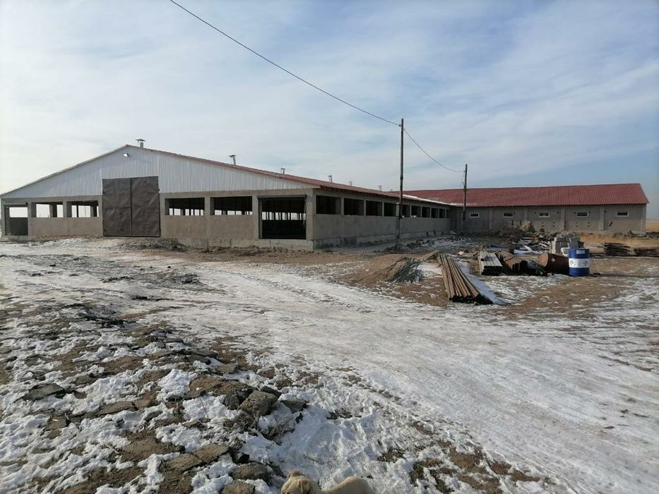 СРОЧНО! Молочно-товарноя ферма