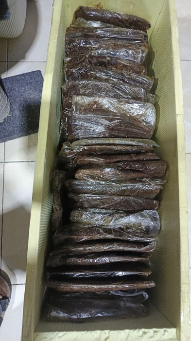 Продаётся  корм для рыб мотыль