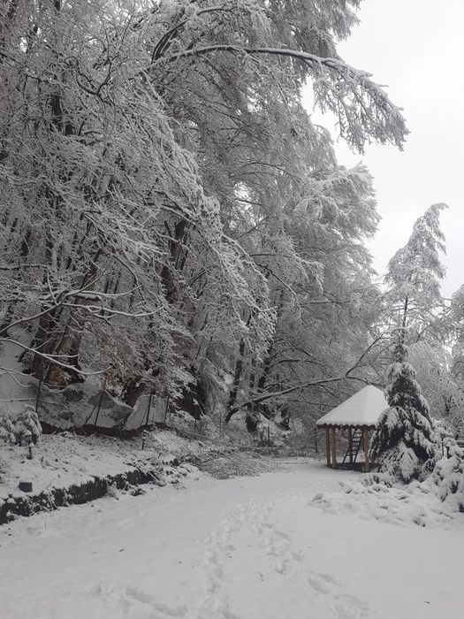 Cabana de închiriat de Craciun, e rezervată de revelion