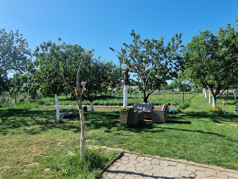 Domeniu Privat Șiria 3000 mp