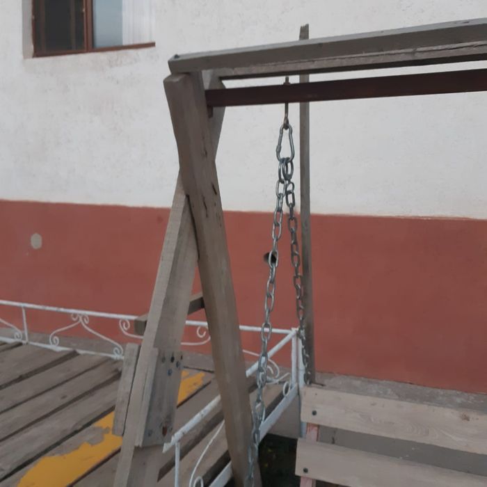 Качелия  садовая.