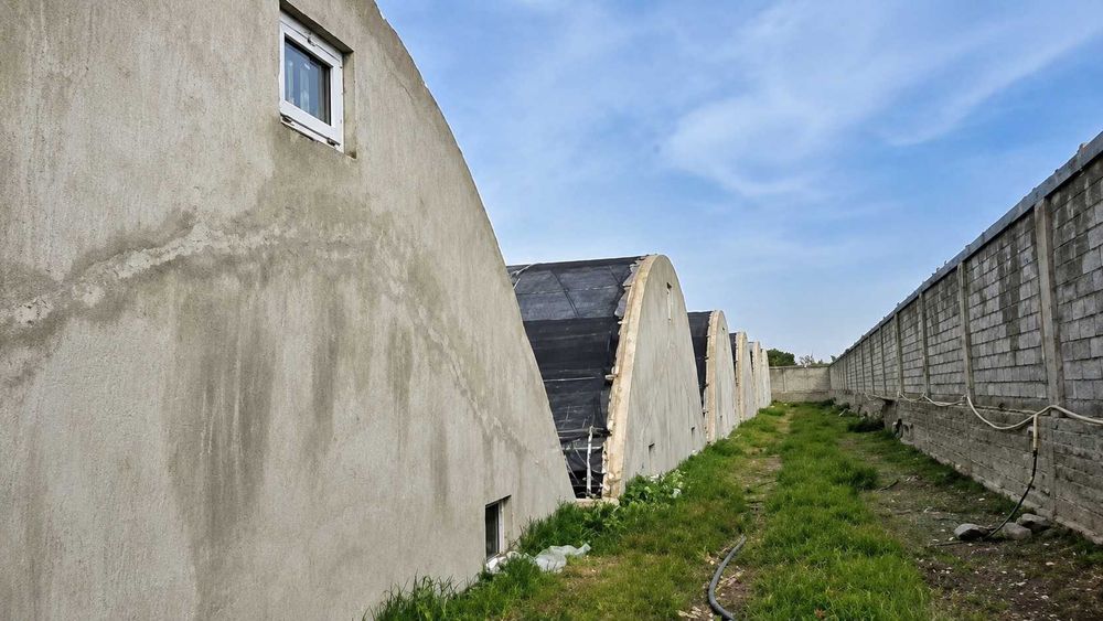 11 500 м² ва 3 940 м² майдонли 2 та нотурар объект сотилади