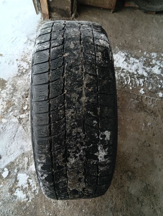 Қыстык дөңгелек сатамын