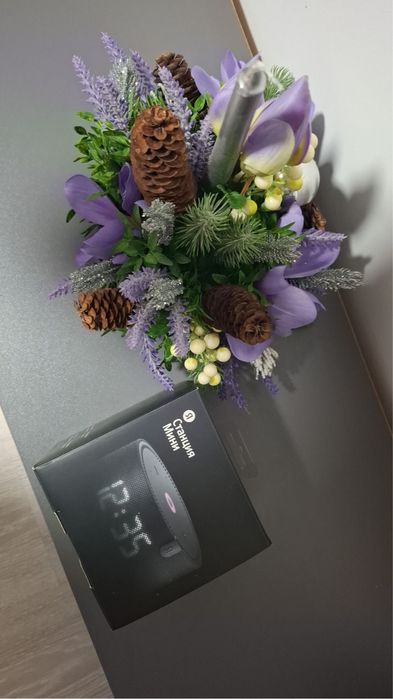 Колонка алиса мини с часами