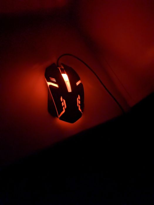 Мышка для компьютера