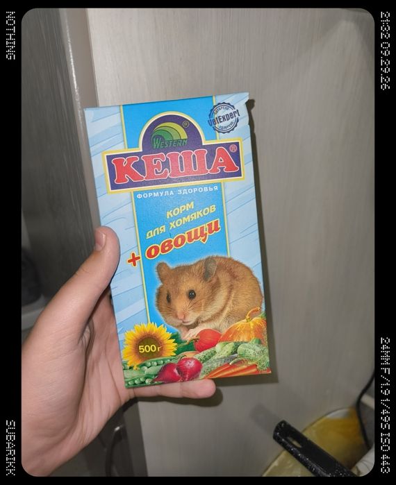 Хомяк вместе с клеткой (сирийский)