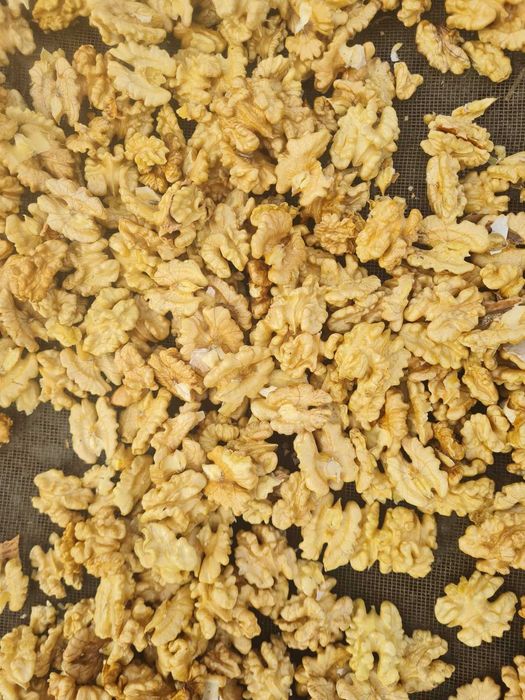 Орех ядка 2025г.