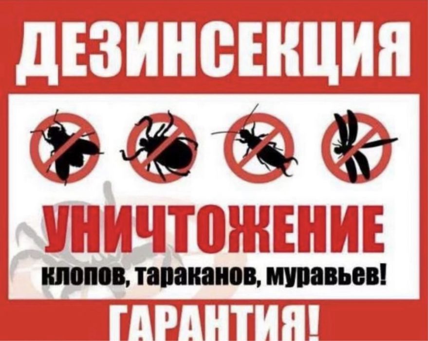 Дезинфекция тараканы,клопы,термиты